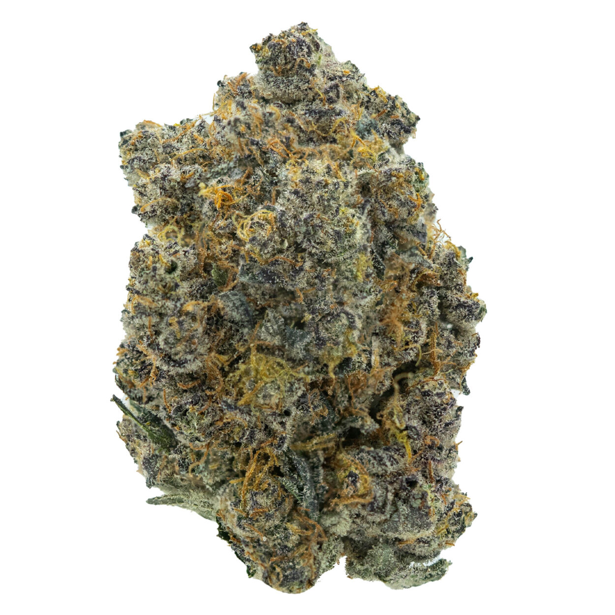 Panama-Punch-Strain-WEB-1250x1250-1