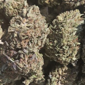 Cbd- CBD Flower ChemBerry